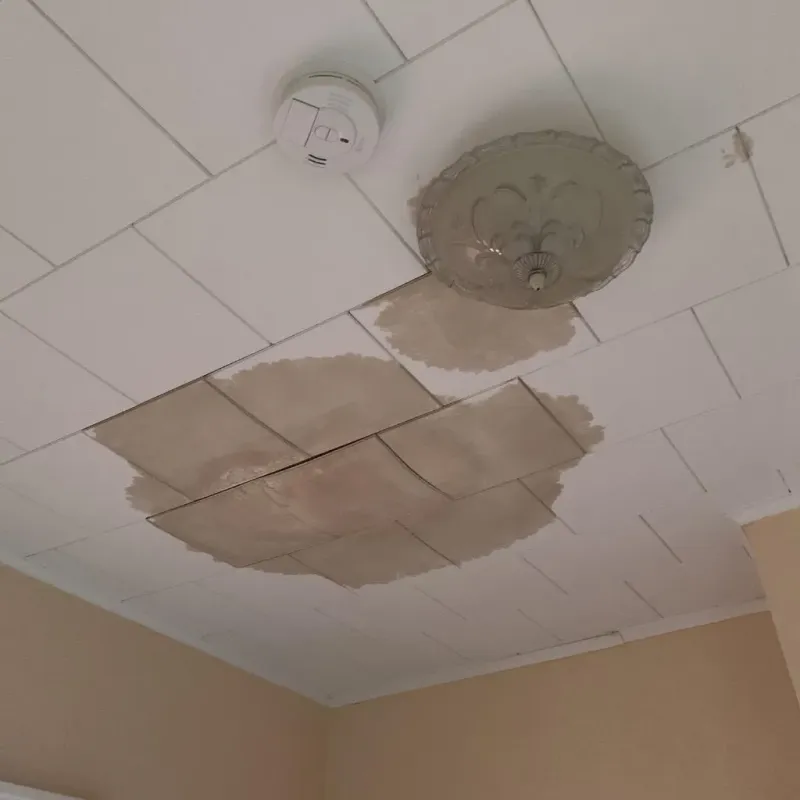 Ceiling Water Damage Repair in West Fargo, ND