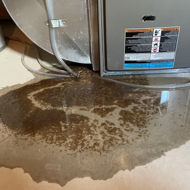 Pipe Burst and Leak Restoration in West Fargo, ND